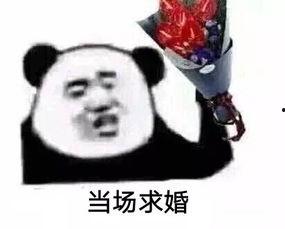 老公结婚吧表情包,婚姻新潮流的趣味解读